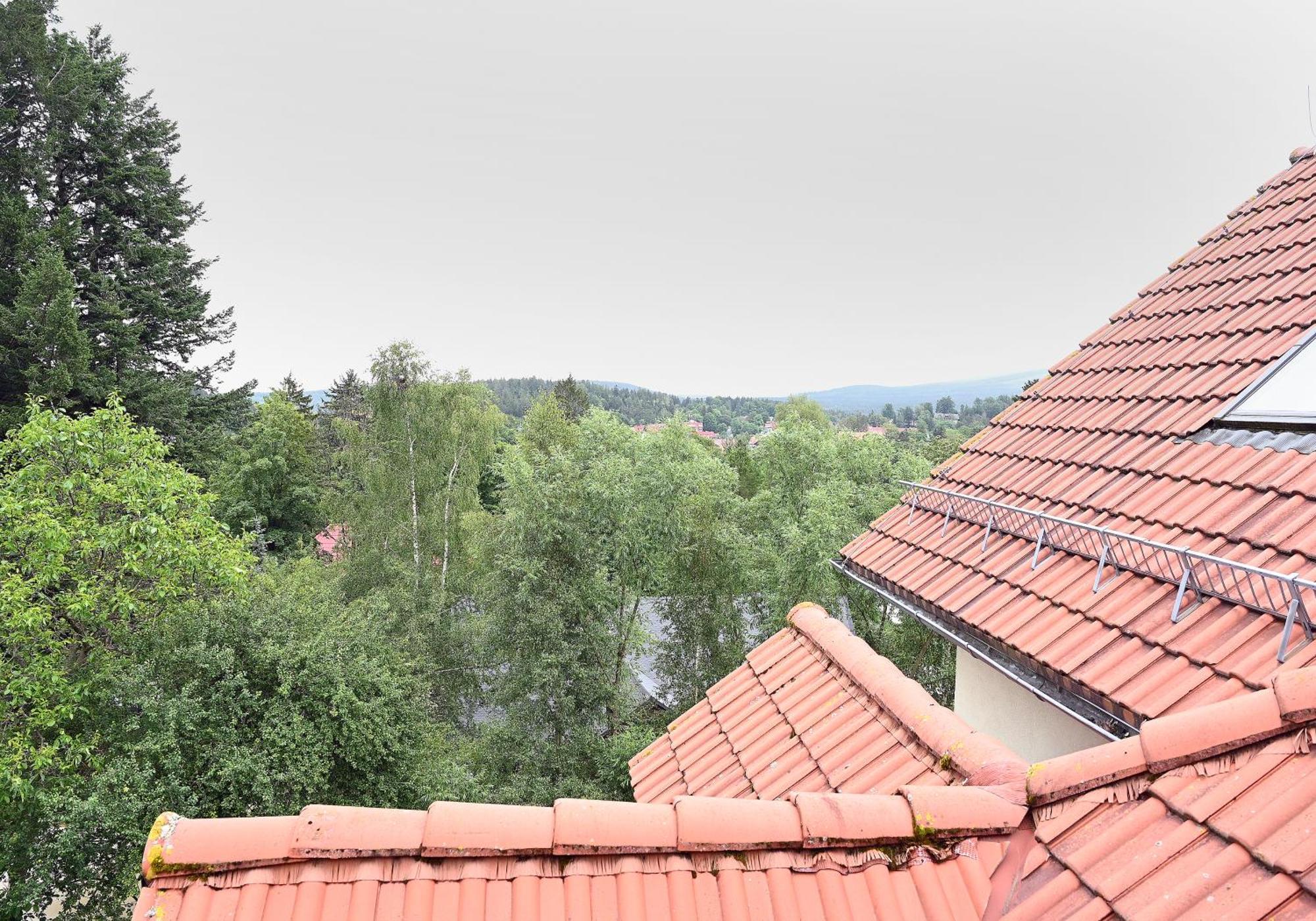 Dwupoziomowy, Duzy Z Garazem I Sauna *